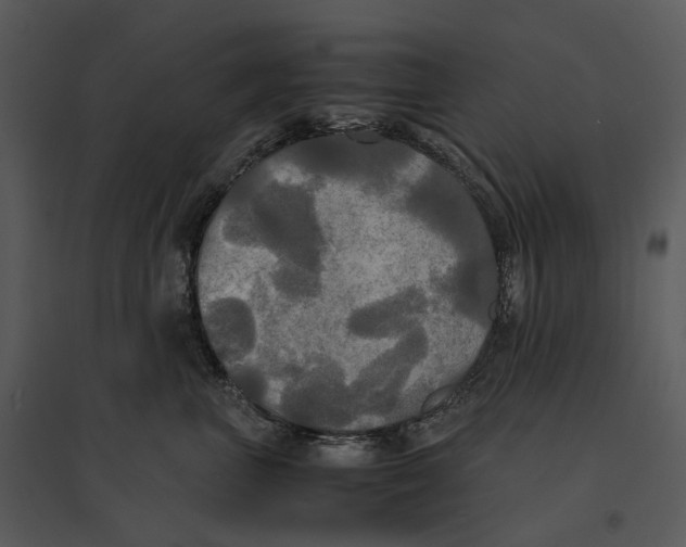 X0000095520667200801041224