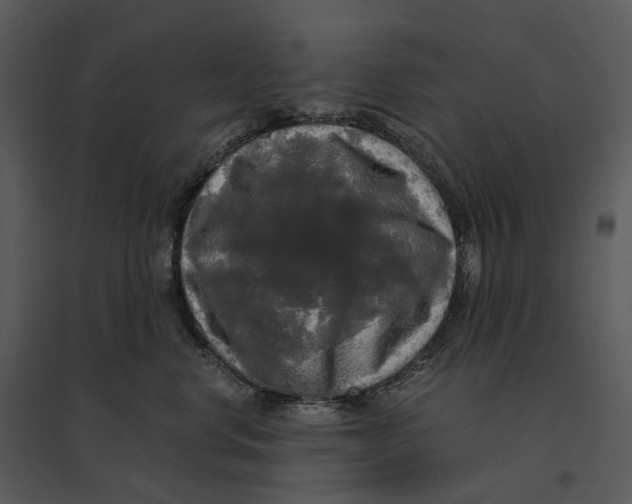 X0000095520668200801041224