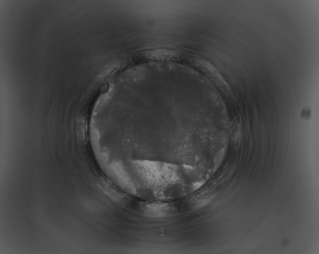 X0000095520669200801041224