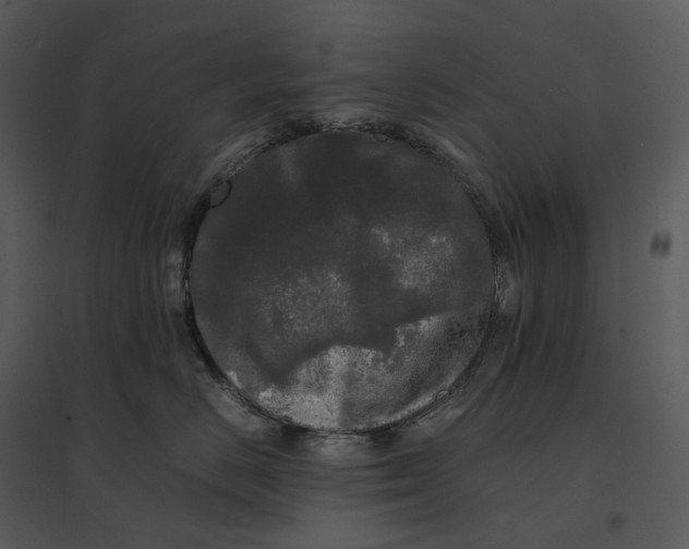 X0000095520670200801041224