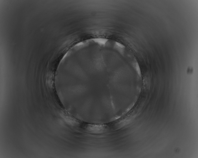 X0000095520671200801041224