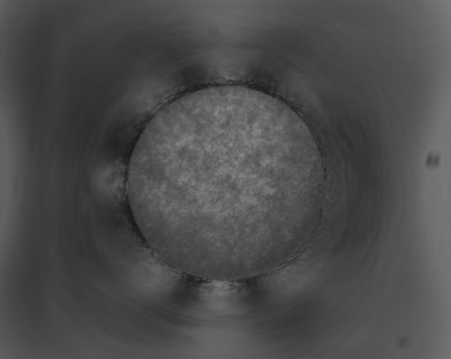 X0000095520672200801041224