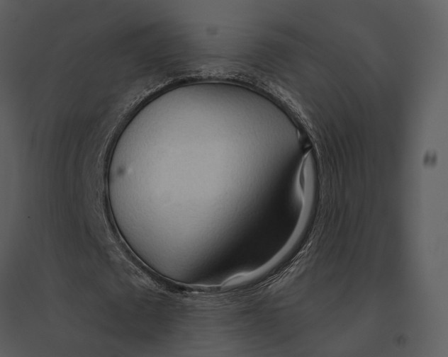 X0000095520673200801041223