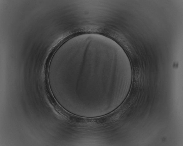 X0000095520674200801041223