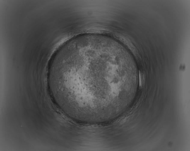 X0000095520675200801041223