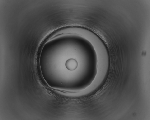 X0000095520676200801041223