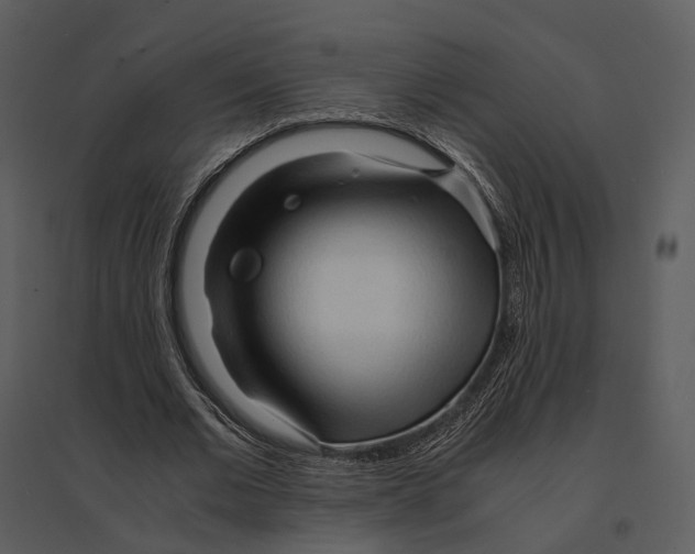 X0000095520677200801041223