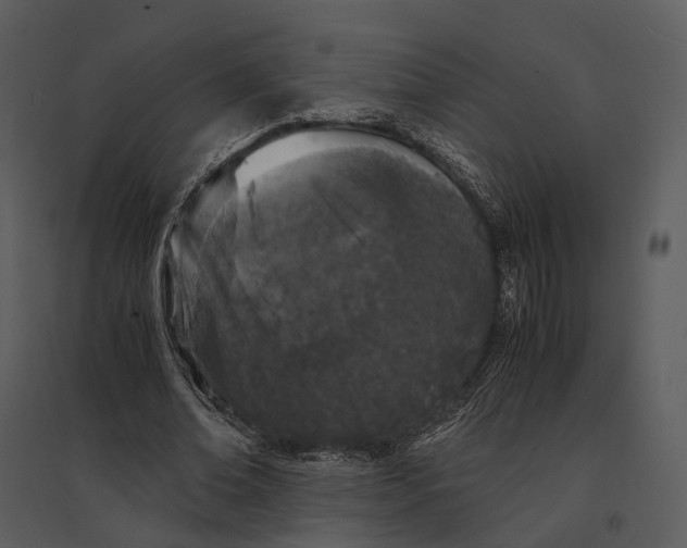 X0000095520678200801041223