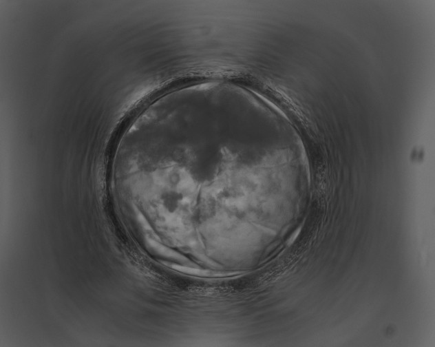 X0000095520679200801041223