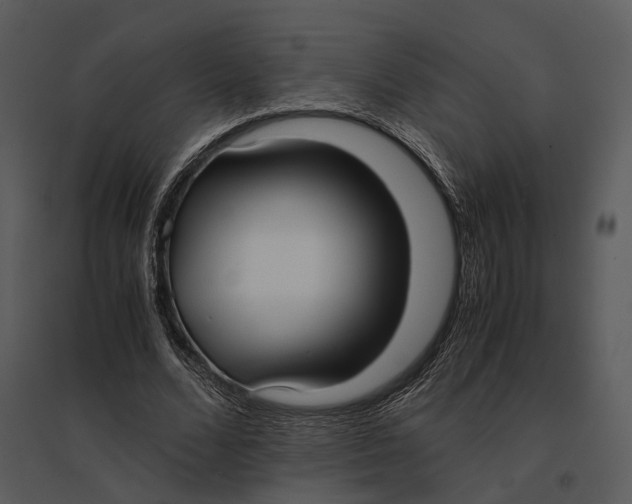 X0000095520680200801041223