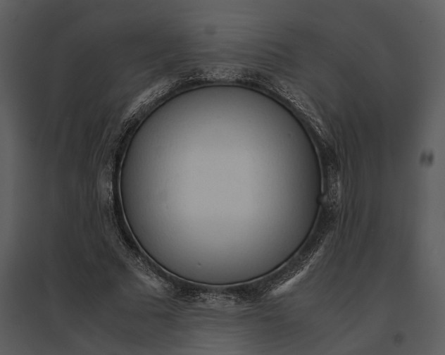 X0000095520681200801041223