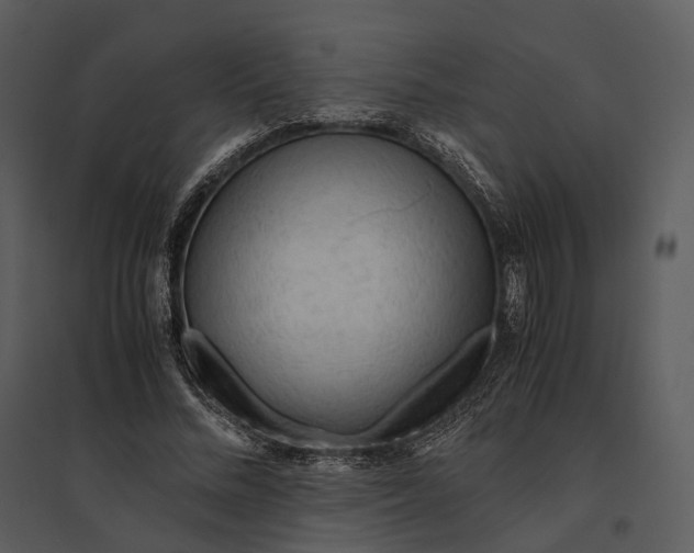 X0000095520684200801041223