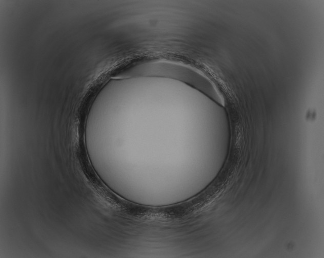 X0000095520685200801041223