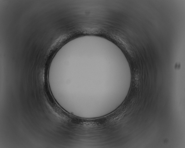 X0000095520686200801041223