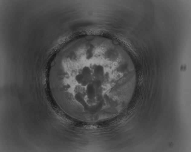 X0000095520687200801041223