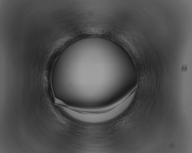 X0000095520688200801041223