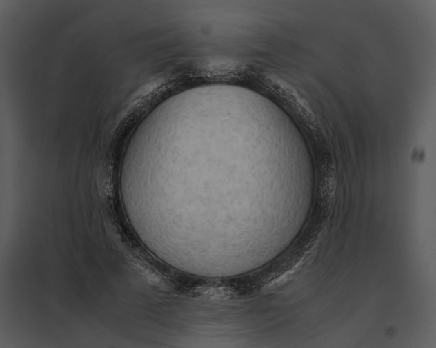 X0000095520689200801041223