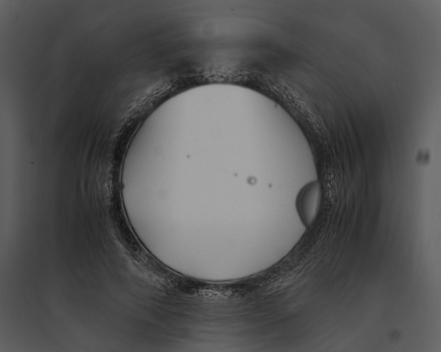 X0000095520690200801041223