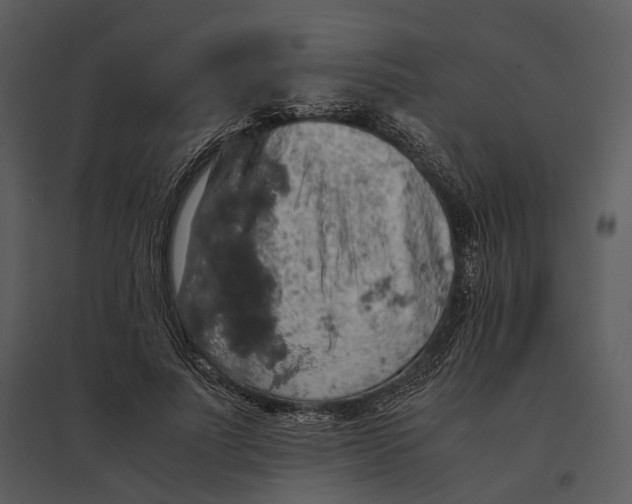 X0000095520691200801041223