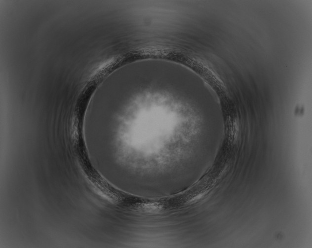 X0000095520692200801041223