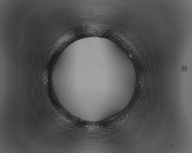 X0000095520693200801041223