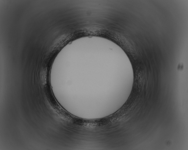 X0000095520694200801041223