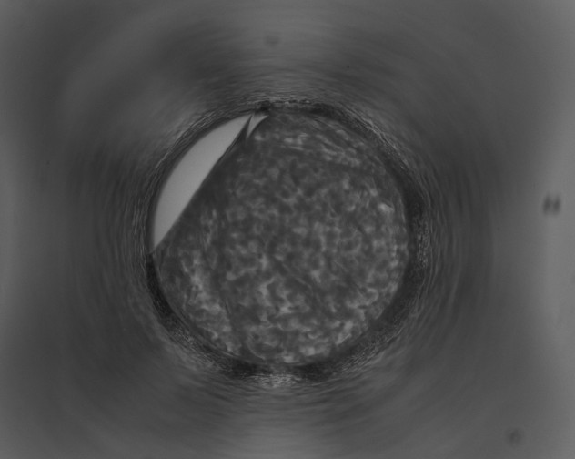 X0000095520695200801041223