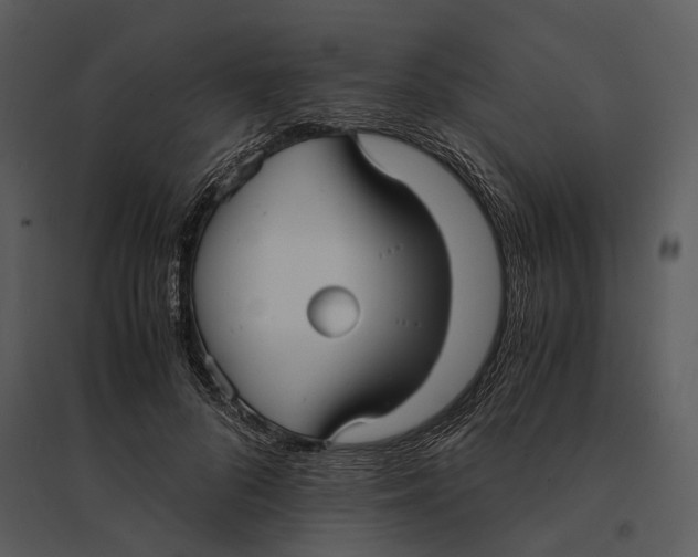 X0000095520696200801041223