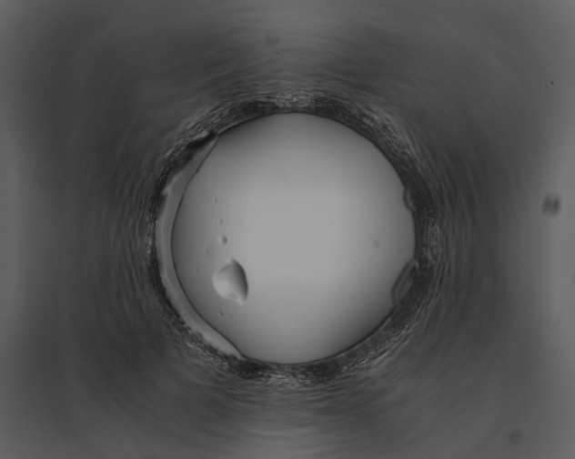 X0000095520697200801041223