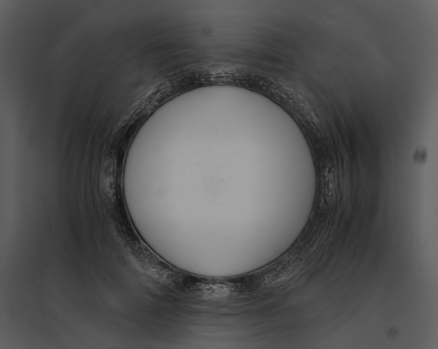 X0000095520698200801041223