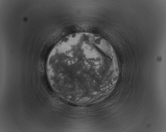 X0000095520699200801041223