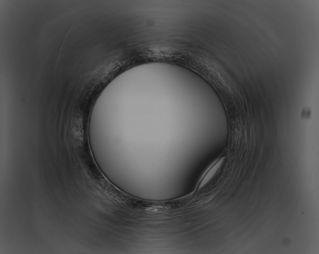 X0000095520700200801041223