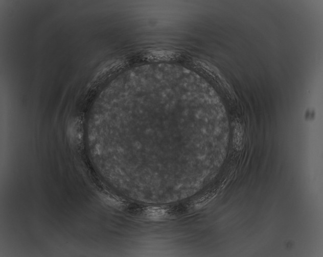 X0000095520701200801041223