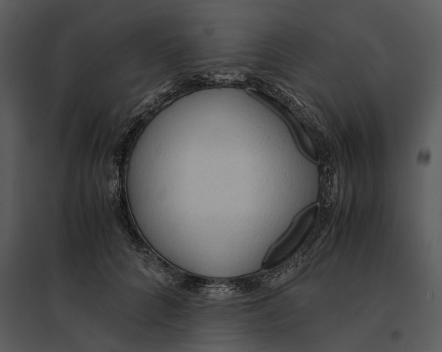 X0000095520704200801041223