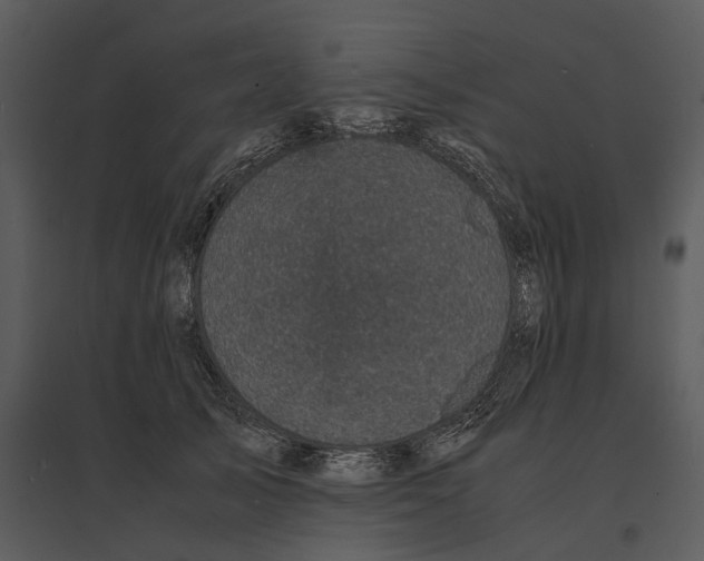 X0000095520705200801041223