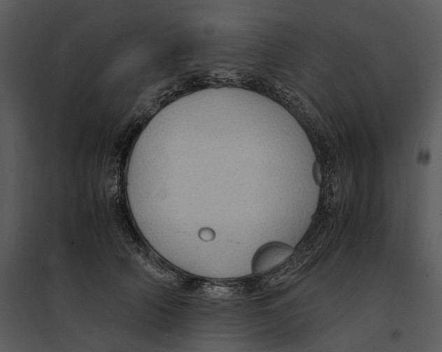 X0000095520706200801041223