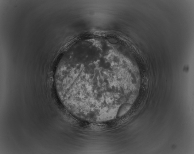 X0000095520707200801041223