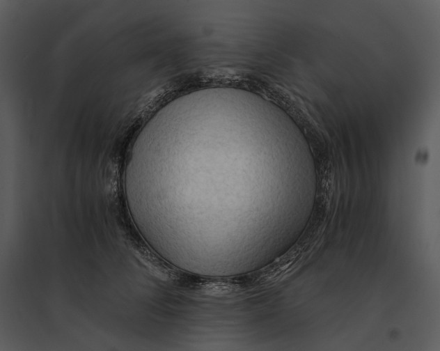 X0000095520708200801041223