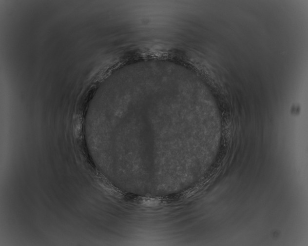 X0000095520709200801041223