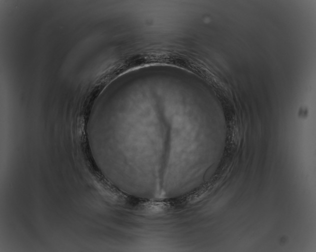 X0000095520711200801041223