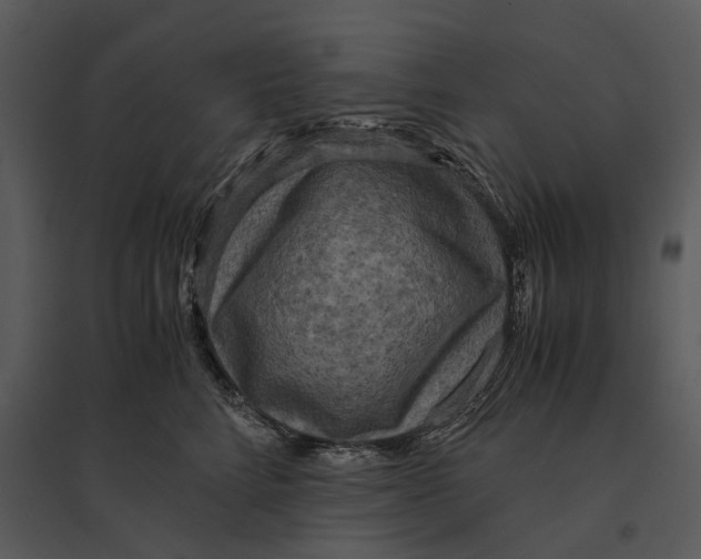 X0000095520712200801041223