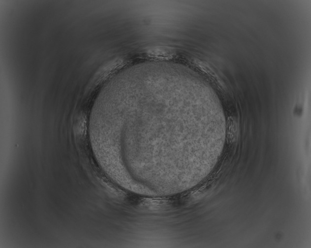 X0000095520713200801041223