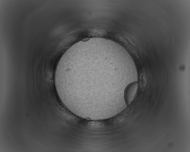 X0000095520714200801041223