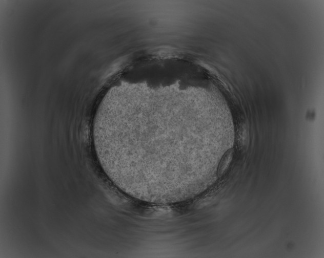 X0000095520715200801041223