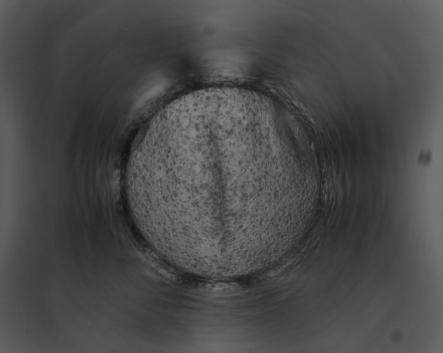 X0000095520716200801041223