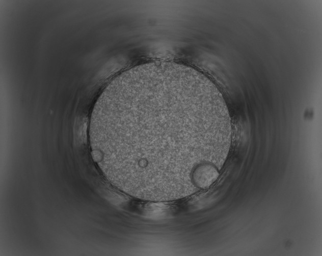 X0000095520717200801041223