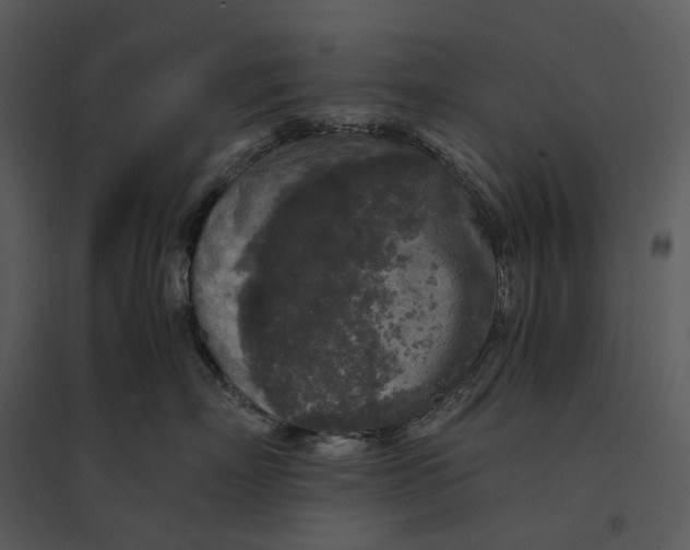 X0000095520718200801041223