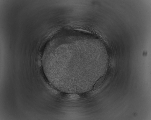 X0000095520719200801041223