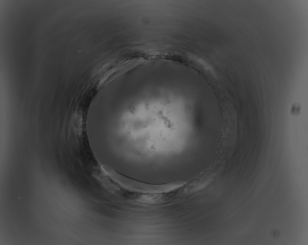 X0000095520720200801041223