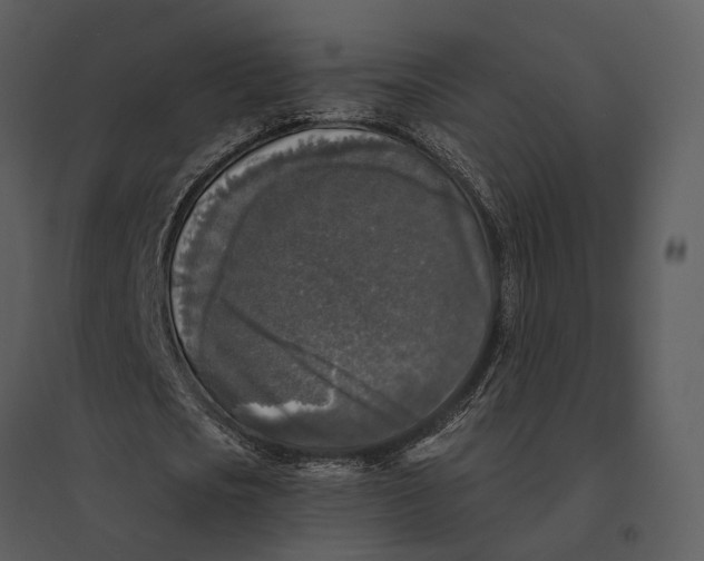 X0000095520721200801041222